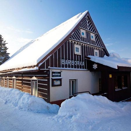 Hotel Penzion Barborka à Rokytnice nad Jizerou Extérieur photo